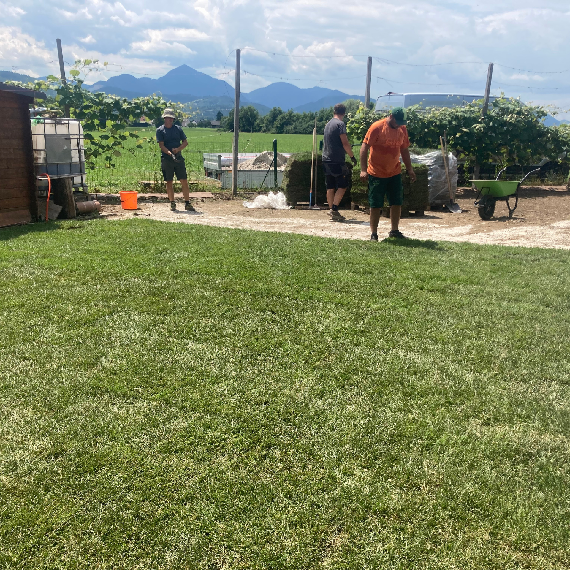 polaganje-travne-ruše12