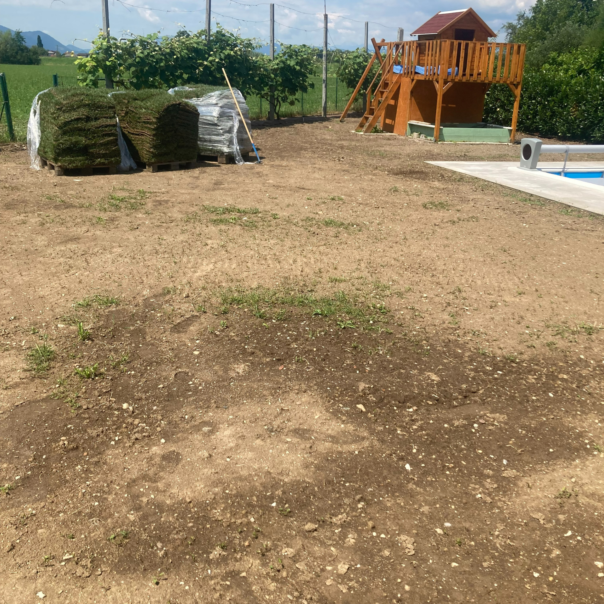 polaganje-travne-ruše13