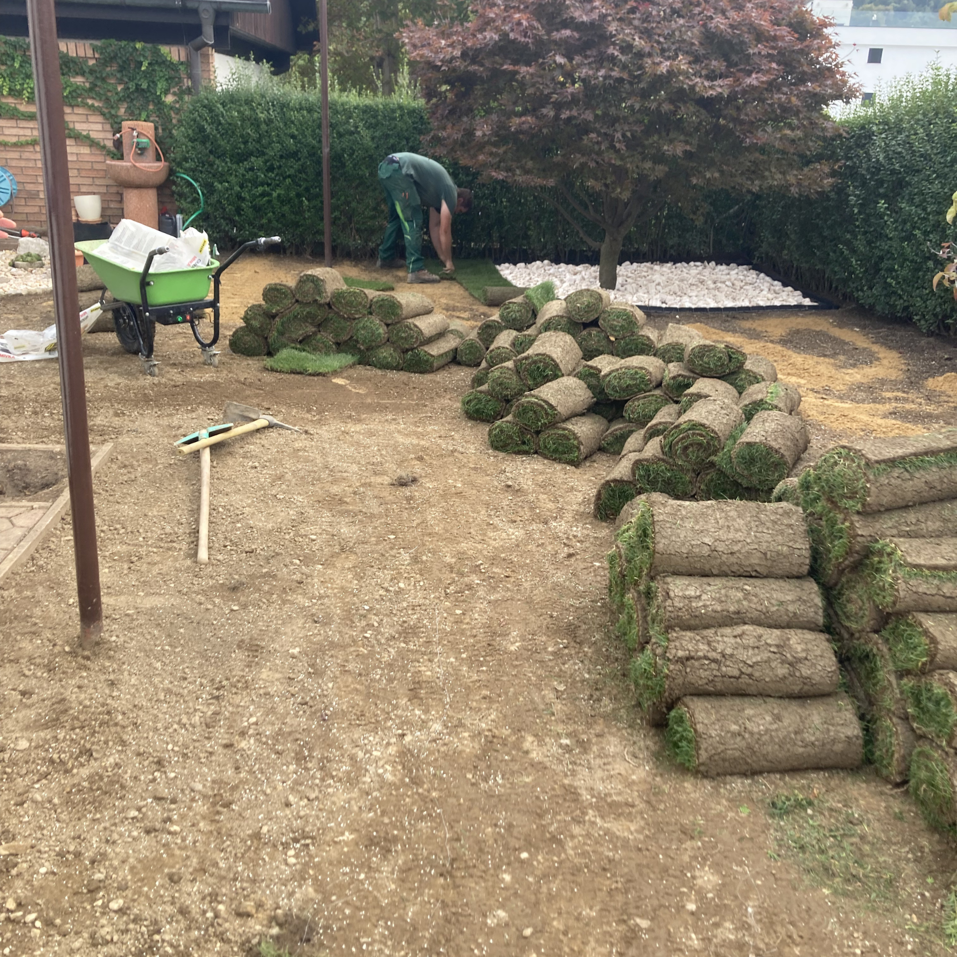 polaganje-travne-ruše9